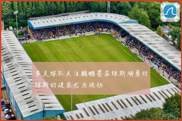 多支球队关注鹈鹕墨菲琼斯湖勇对琼斯的追求尤为迫切