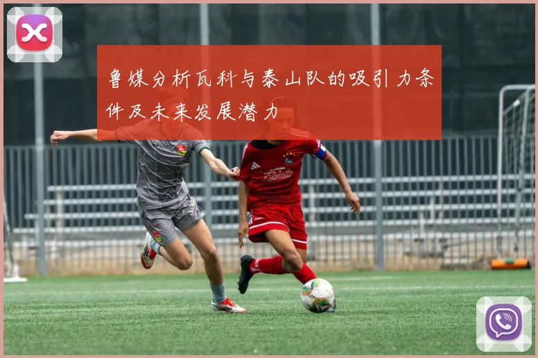 鲁媒分析瓦科与泰山队的吸引力条件及未来发展潜力
