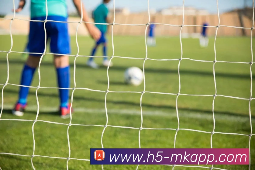 MK体育发展历程